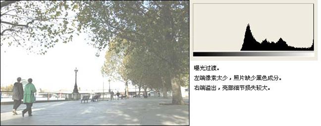 数码单反摄影教程,数码单反摄影进阶完全教程