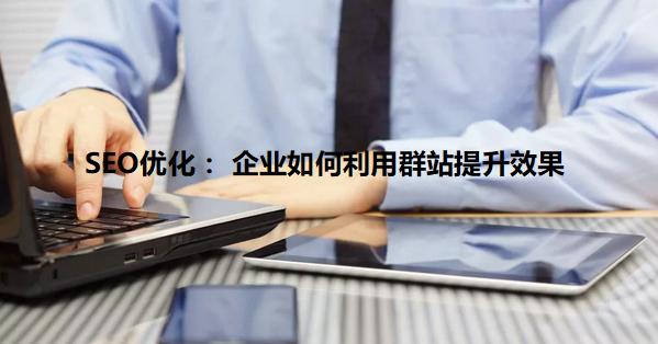 seo站群优化技巧教程,seo站群优化教程