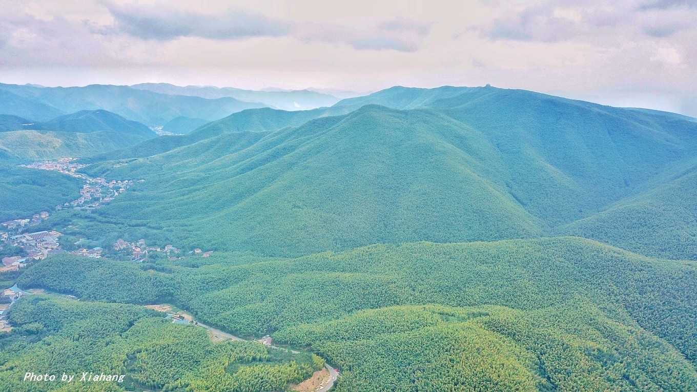 华东第一竹海在江苏哪个城市,亚洲第一天然氧吧蔡伦竹海