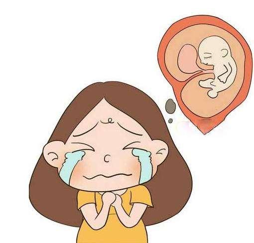 3d模拟受孕过程,3d模拟孕妇变化