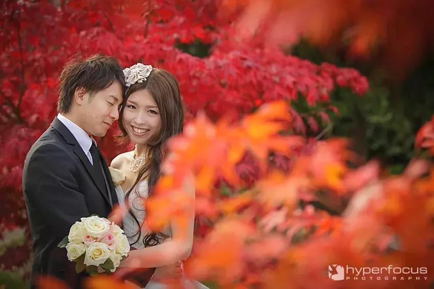 温哥华冬季温和的原因,温哥华气候温暖湿润的原因