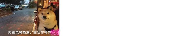 起步很肉的车,起步肉的车怎么开