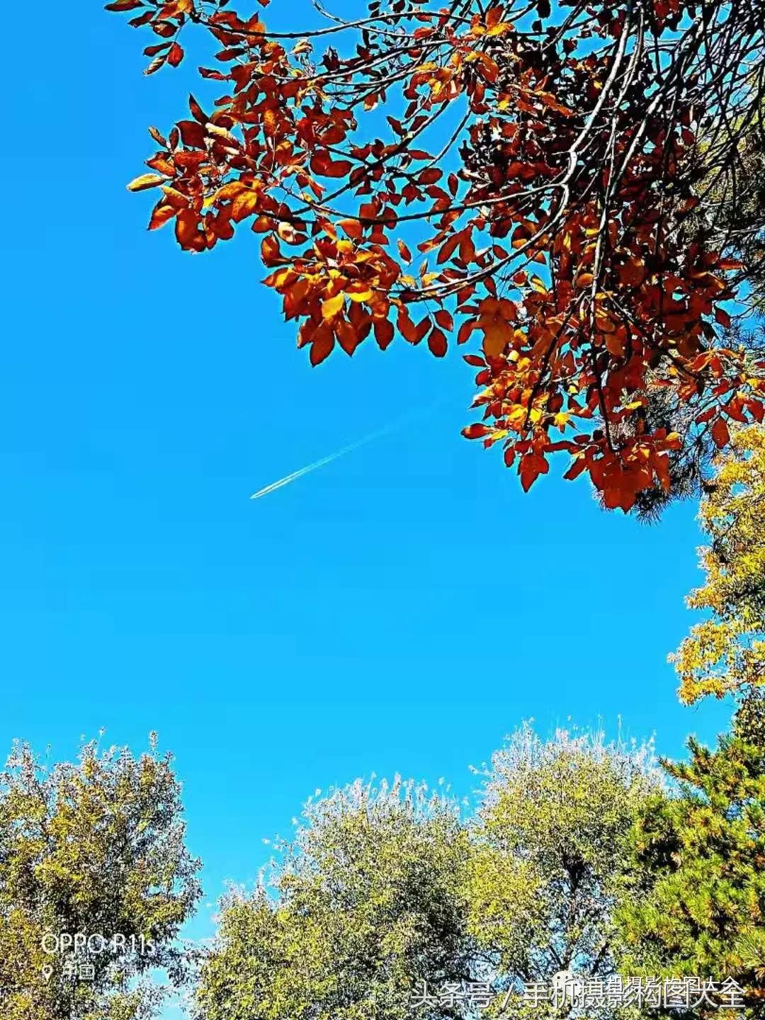 干货10秒教你照片调色,十秒让你的照片高清调色