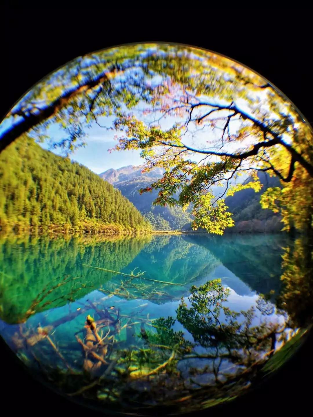 秋天的九寨风景区,秋天的九寨沟风景区山水视频