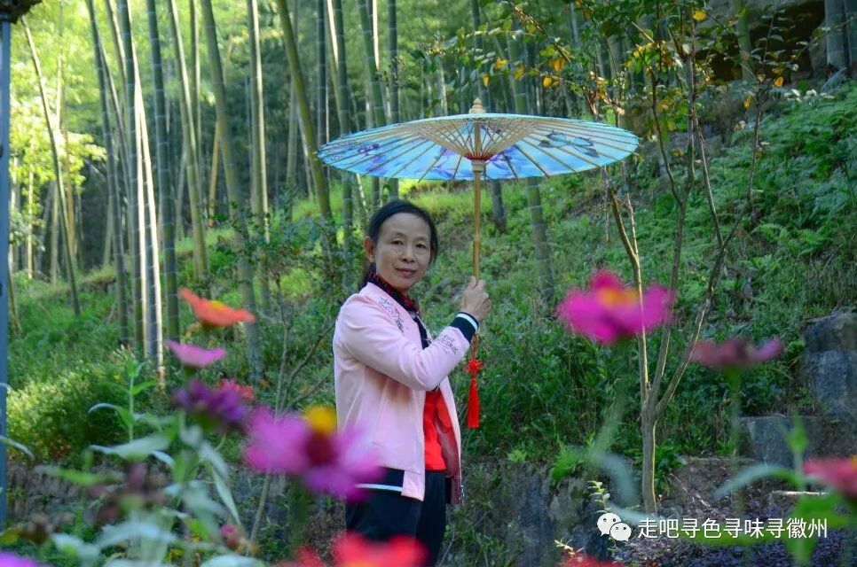 竹海扬波，溪山飞瀑｜心花开放在幽篁里