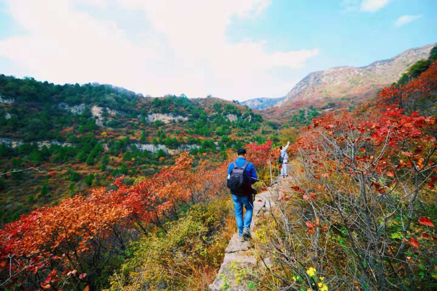 邢台云梦山“红叶节”开启!上万亩黄栌、五角枫勾勒太行山独特美景