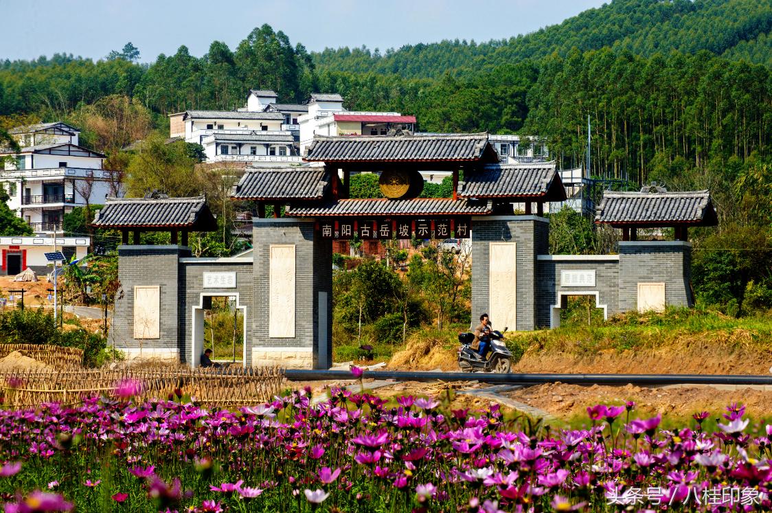 青秀区创意科技节,南宁市青秀区创意活动