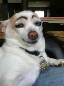 比大姨妈还准时,比大姨妈还要准时的还有什么