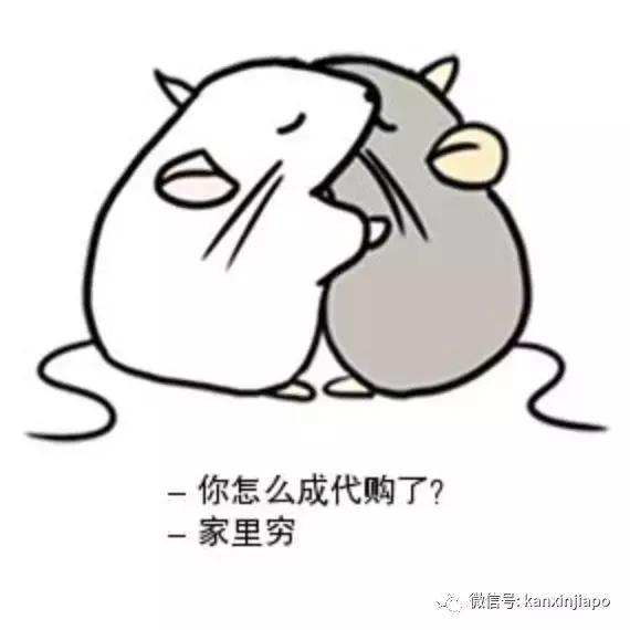 官宣！中国首次正式立法禁代购，海外*党**瑟瑟发抖中