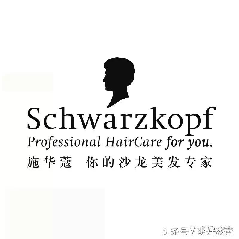 宝马外国中文名字叫什么,宝马中文叫什么名字好听