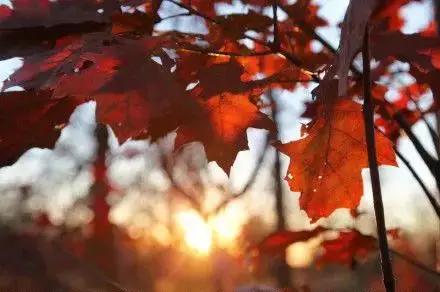 又见重阳原唱完整版,又见重阳歌曲完整版