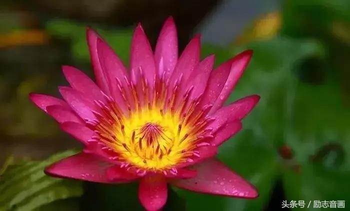 最实用的成语集锦,史上最全成语分类汇总