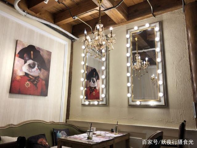 国内最好的猫咪咖啡厅,猫咪咖啡馆有几家