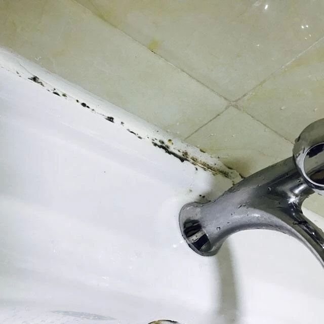 哪种玻璃胶防水不发霉,卫生间用什么玻璃胶不发霉