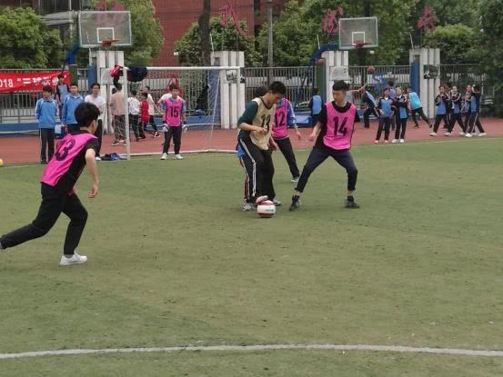 成都梦之队小学免费课程,小学足球梦之队