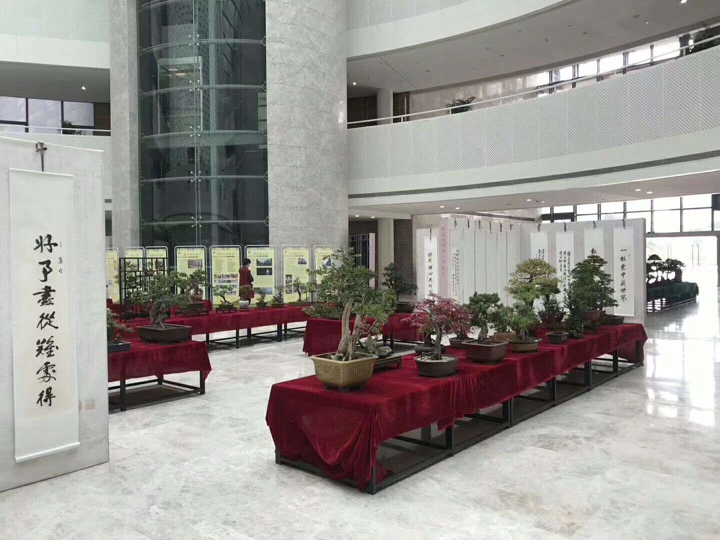 “丝韵飘香”刘亚明书法展、花卉盆景展、集邮展在文化中心展出