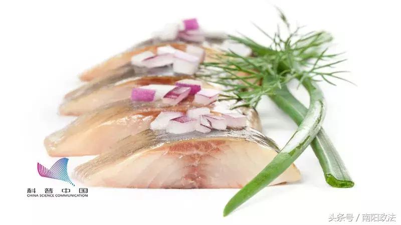 网传吃鱼能让人变聪明？终于找到提高智商的方法了……