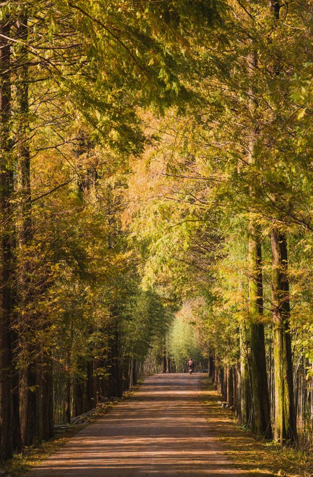 定了！上海又一条铁路获批，30min到湖州，还连接起了苏州！