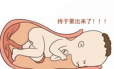 关于孕期检查知识,孕期检查知识讲解