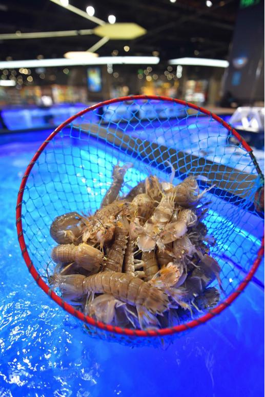 不输三亚第一市场！合肥这家店的波龙海胆帝王蟹……简直太zán了