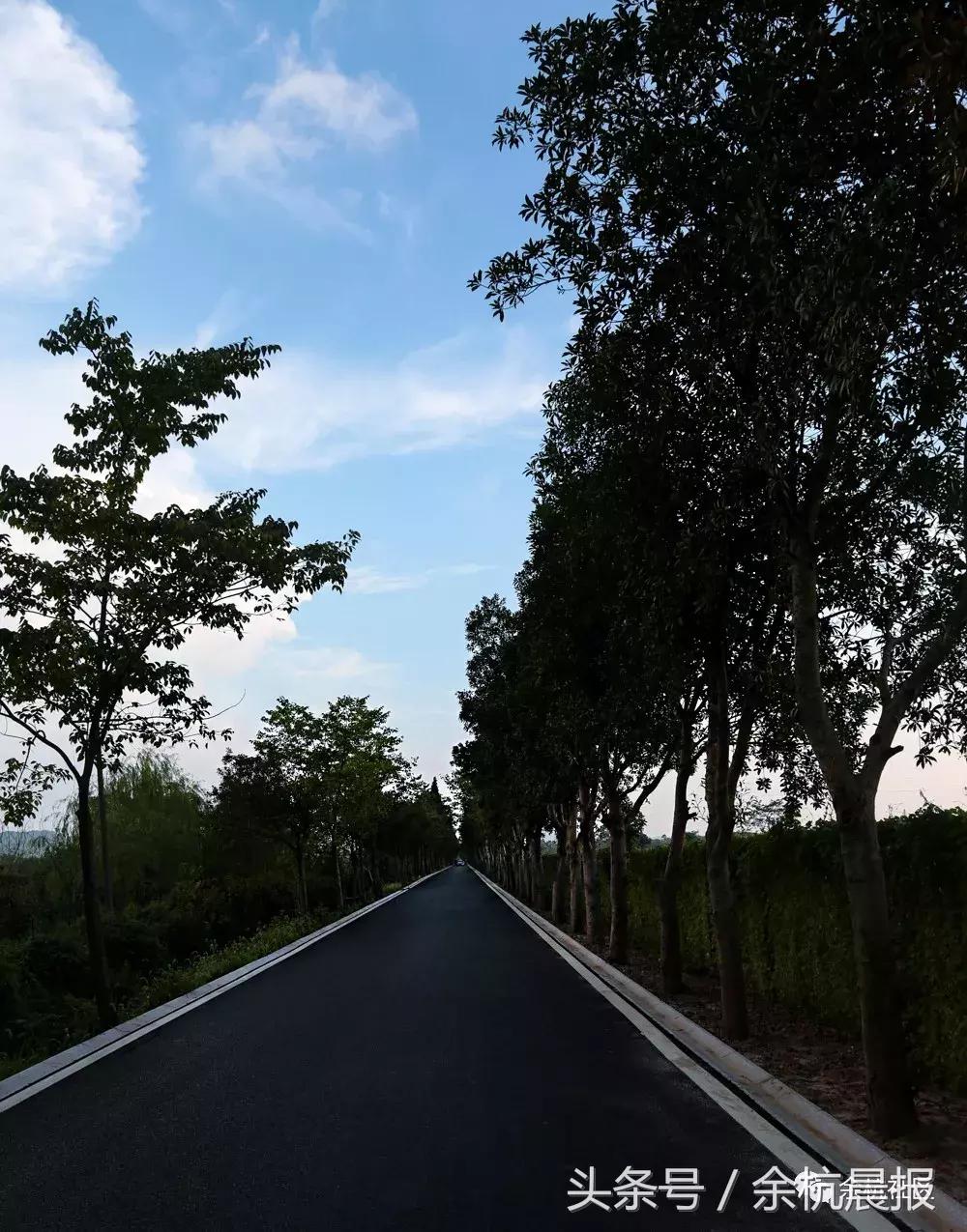 9090000㎡！余杭新增一大型公园，1299个足球场大！