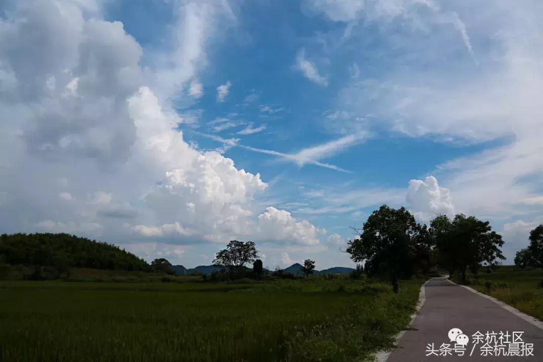 9090000㎡！余杭新增一大型公园，1299个足球场大！