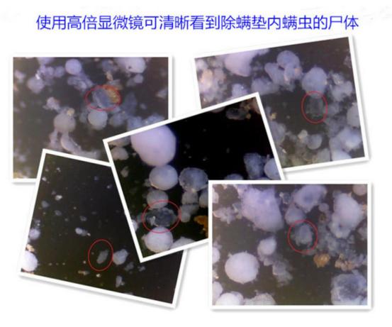 十二星座男眼中的完美女友是什么样的