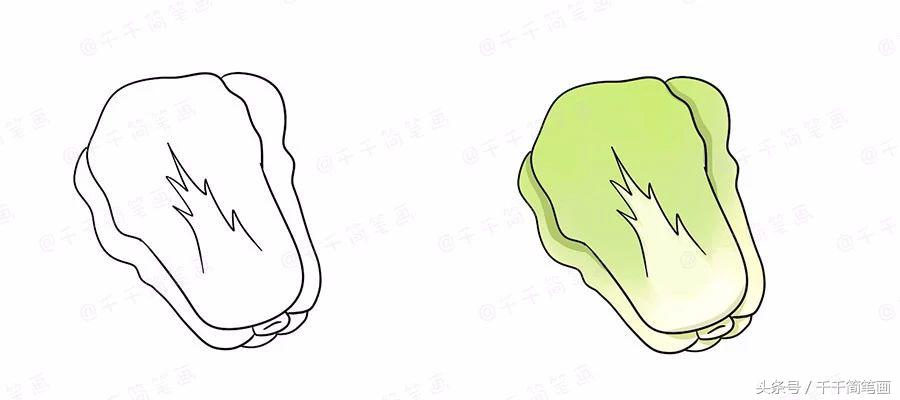 绘画蔬菜成长记,蔬菜成长记绘画图文