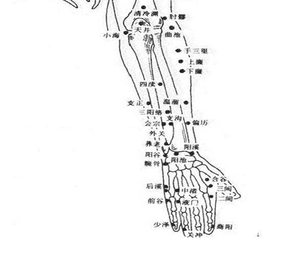 有哪些常见病用到中医穴位,42条实用穴位干货