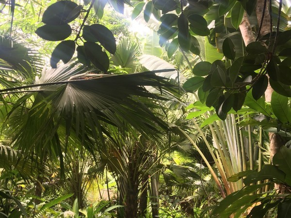 三亚的海景特别美，闺蜜自由行攻略