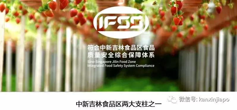 2021新加坡食品安全排行榜,新加坡食品安全体系