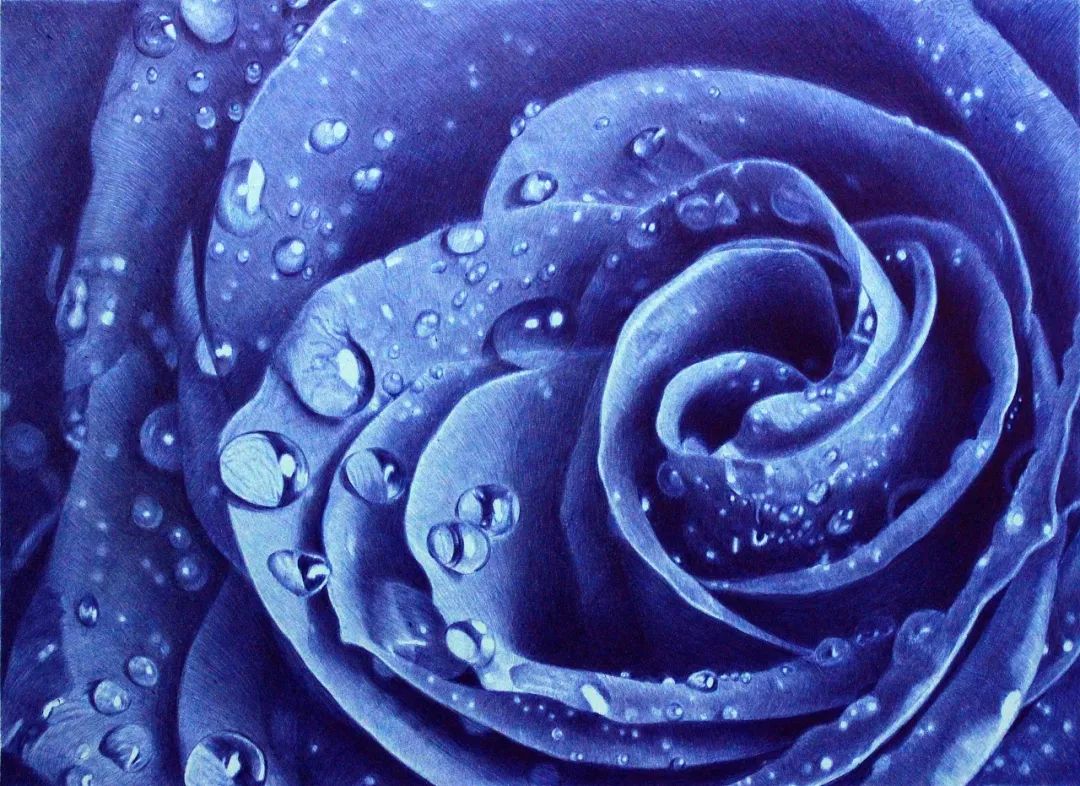 八大圆珠笔,顶级圆珠笔画欣赏