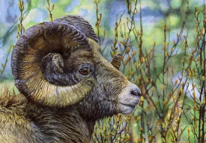 八大圆珠笔,顶级圆珠笔画欣赏