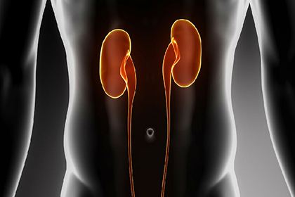 人体各器官过了保质期该怎么办,人体各个器官的保质期有多久