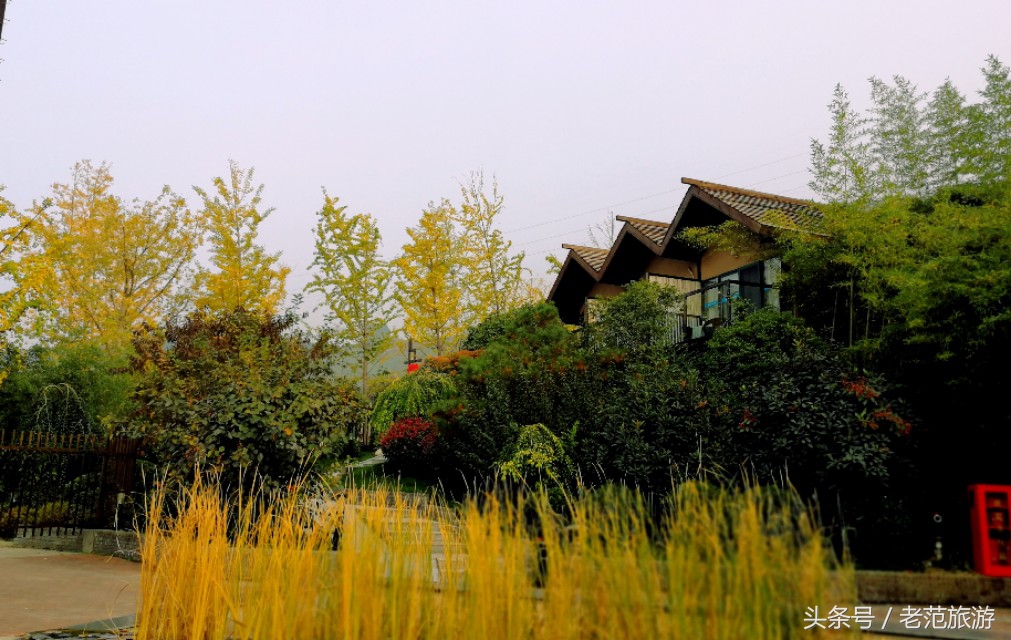 赏山赏水赏风景,凤凰山旅游温泉
