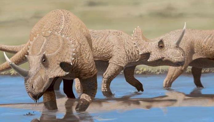 科学家发现的5种诡异生物,科学家发现奇怪的恐龙