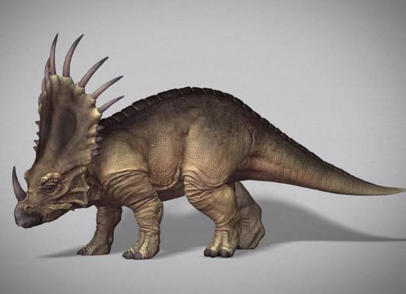 科学家发现的5种诡异生物,科学家发现奇怪的恐龙