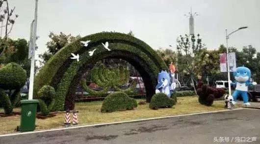 武汉第四十届菊展分别在哪里,武汉江滩第三十八届金秋菊展