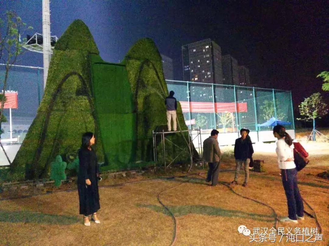 武汉第四十届菊展分别在哪里,武汉江滩第三十八届金秋菊展