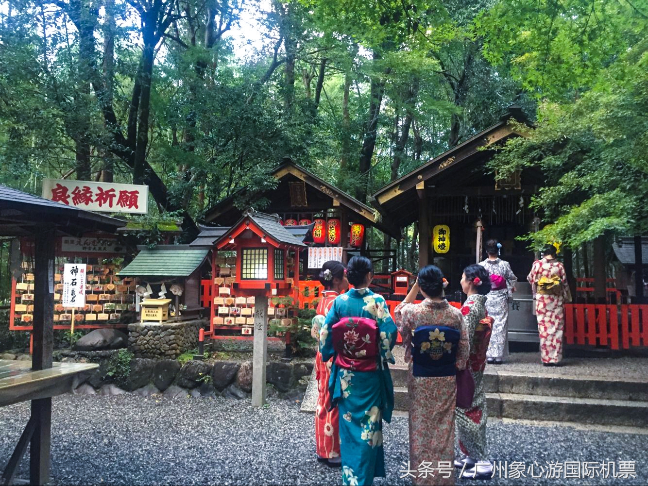 东京进大阪出8天自由行攻略,大阪京都东京镰仓