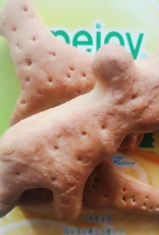 又好吃又酥脆的饼干,简单易学的无糖小饼干教程