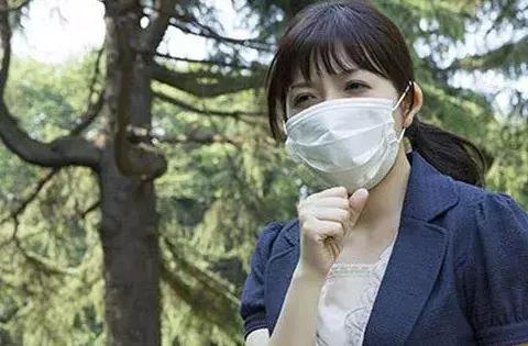 菊花都有哪些作用和功效,各种菊花都有什么功效