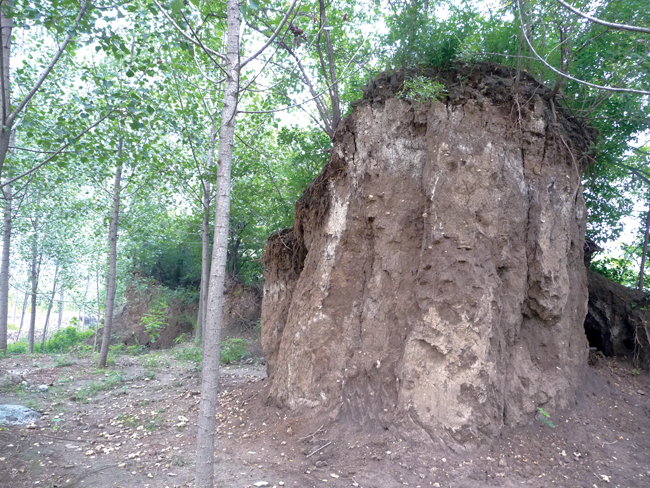 乡村记忆菏泽单县,乡村记忆安乐镇