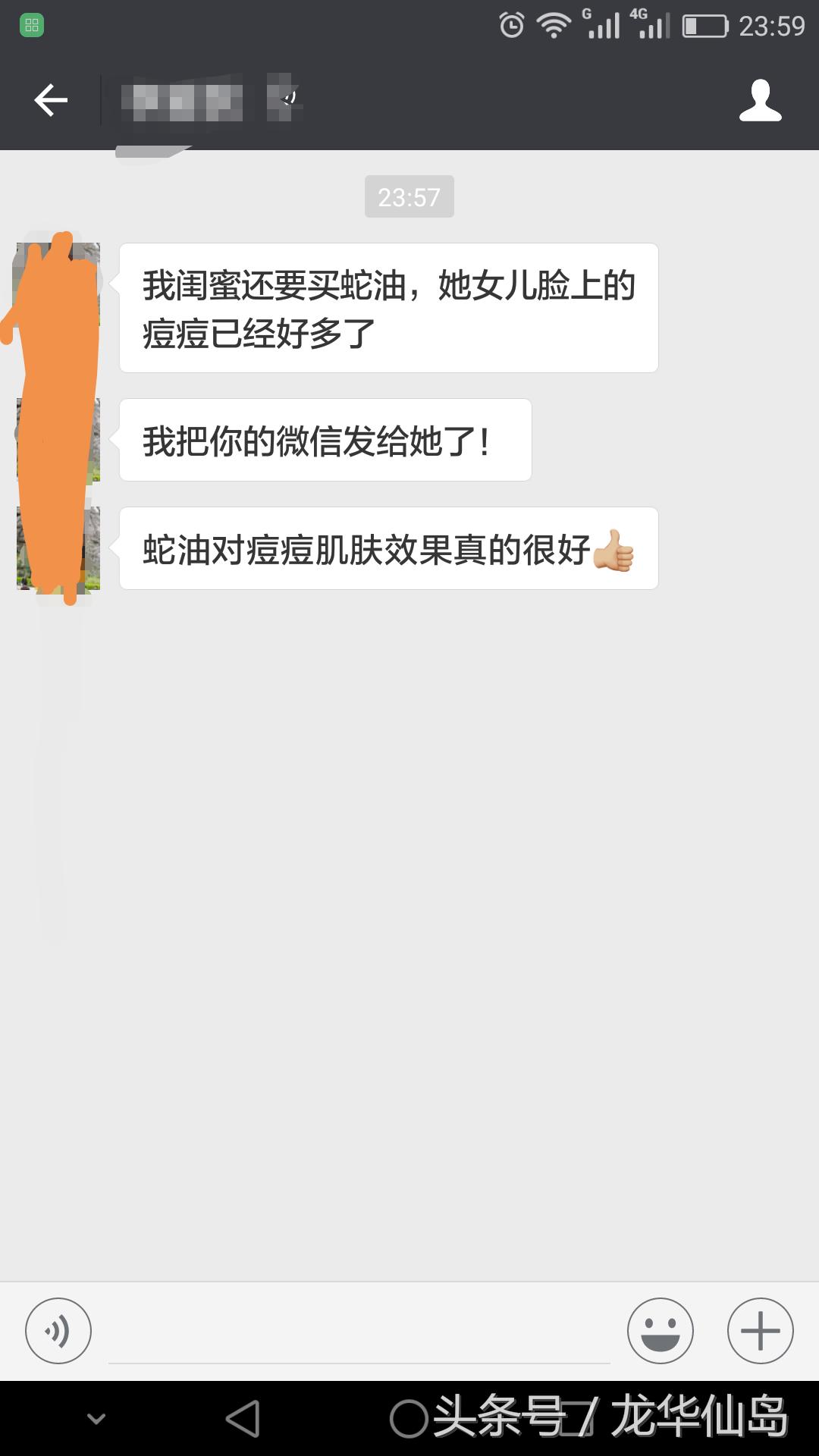 热带雨林探险之旅遇见蛇,亚公顶森林公园蟒蛇