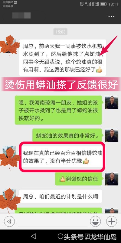 热带雨林探险之旅遇见蛇,亚公顶森林公园蟒蛇