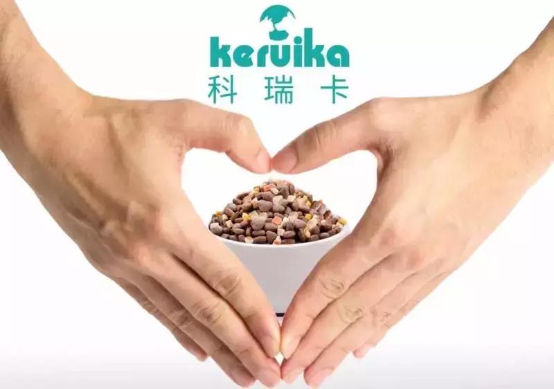 宠物寄养四大注意事项,宠物寄养注意事项和禁忌