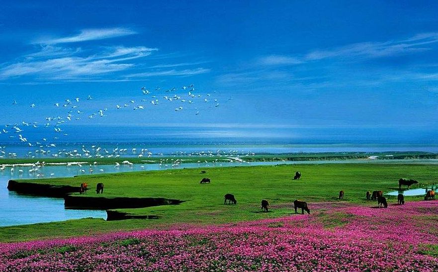 乘风破浪的励志诗词,乘风破浪的原创诗