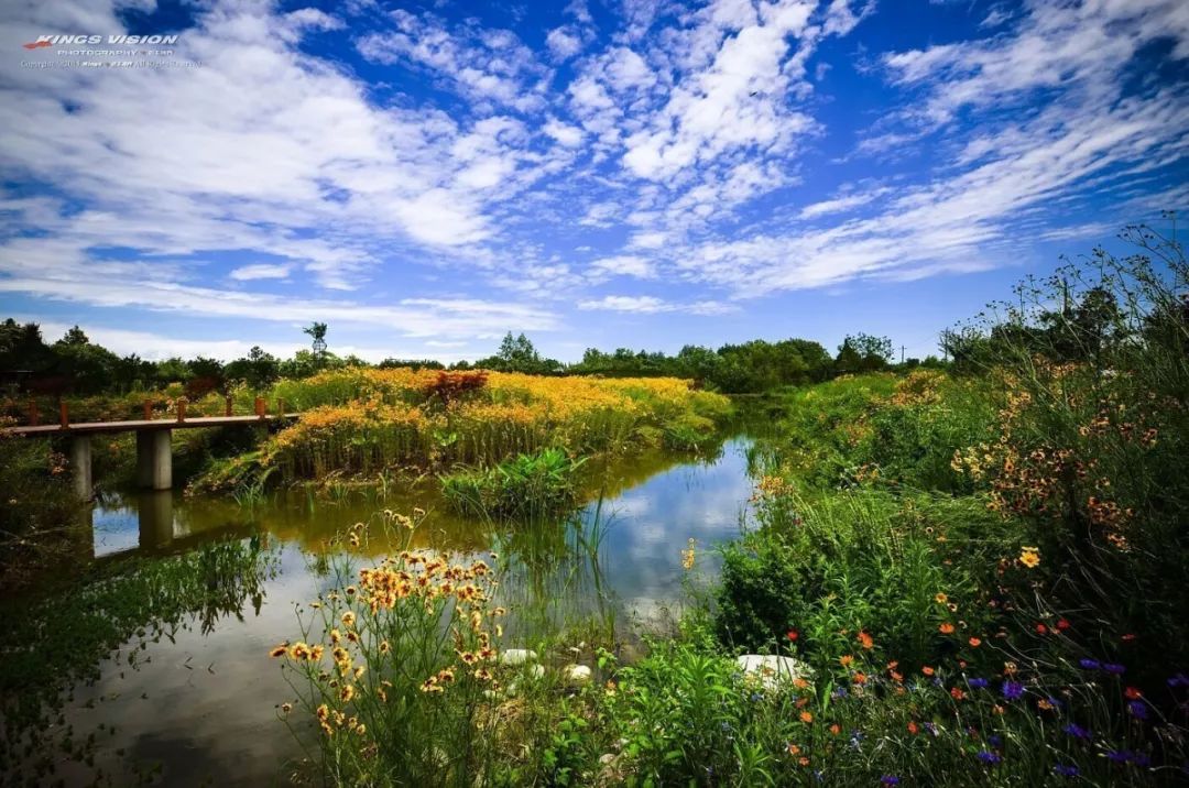 金温江介绍,金温江最新消息