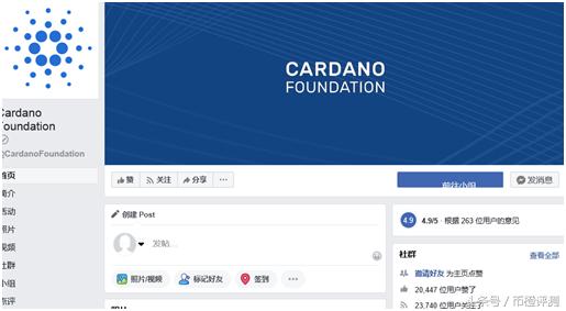 「币橙评测」ADA-学术的帽子底下或许是匹狼