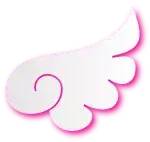 双十一攻略！求放过我的钱包呀！